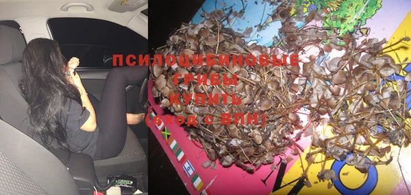 эйфоретик Богданович