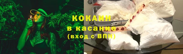 эйфоретик Богданович