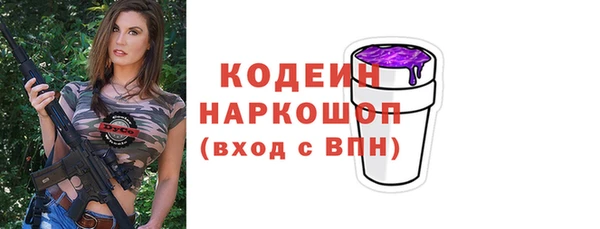 мдпв Богородск
