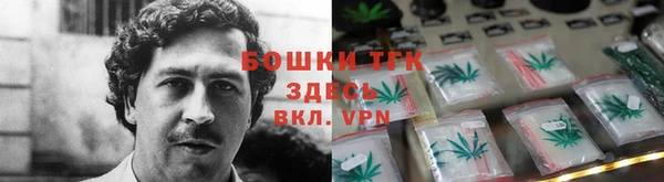 эйфоретик Богданович