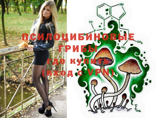 мдпв Богородск