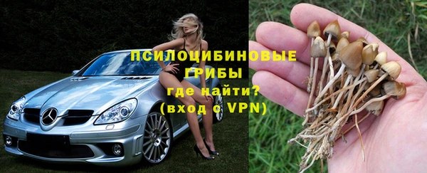 каннабис Богородицк