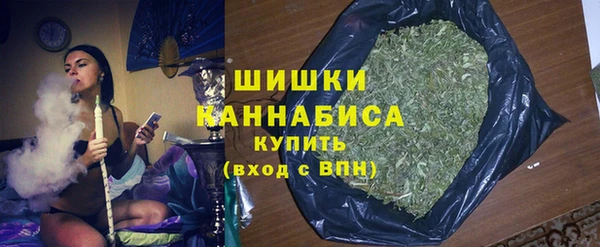 мдпв Богородск