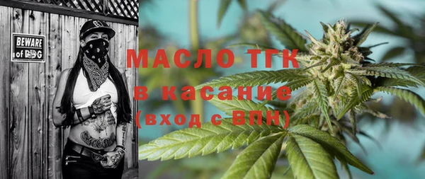 мдпв Богородск