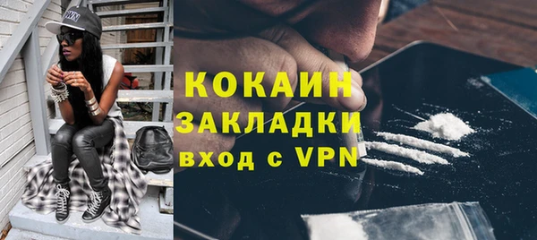 мдпв Богородск